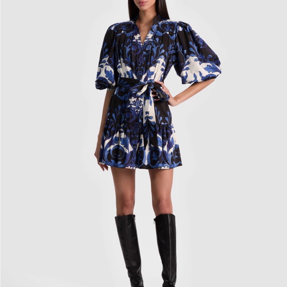 Alice + Olivia and Cora Mini Shirt Dress - Regal Retreat